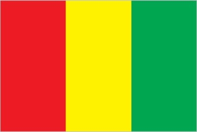 GUINEA-flag